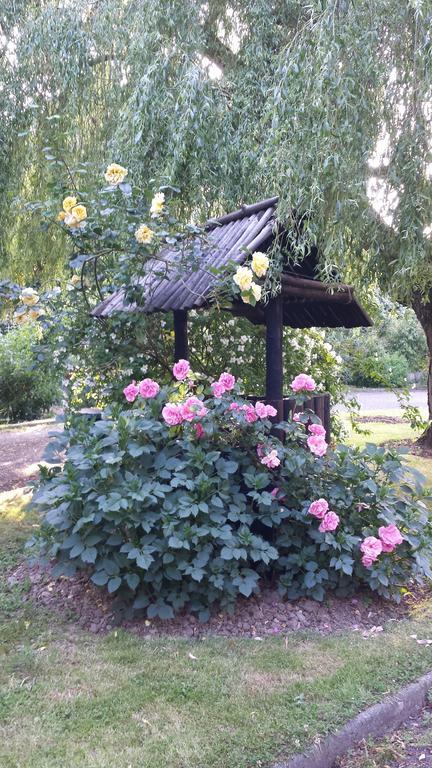 Riverfield Bed And Breakfast 고리 외부 사진